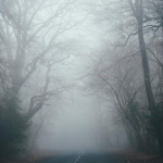 “Neblina cerebral e glúten: quando a alimentação afeta a meteorologia do cérebro!